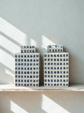 Coppia di vasi cinesi antichi